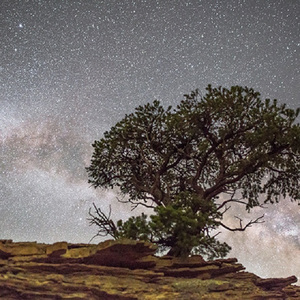 被继夫添荫蒂好爽高
